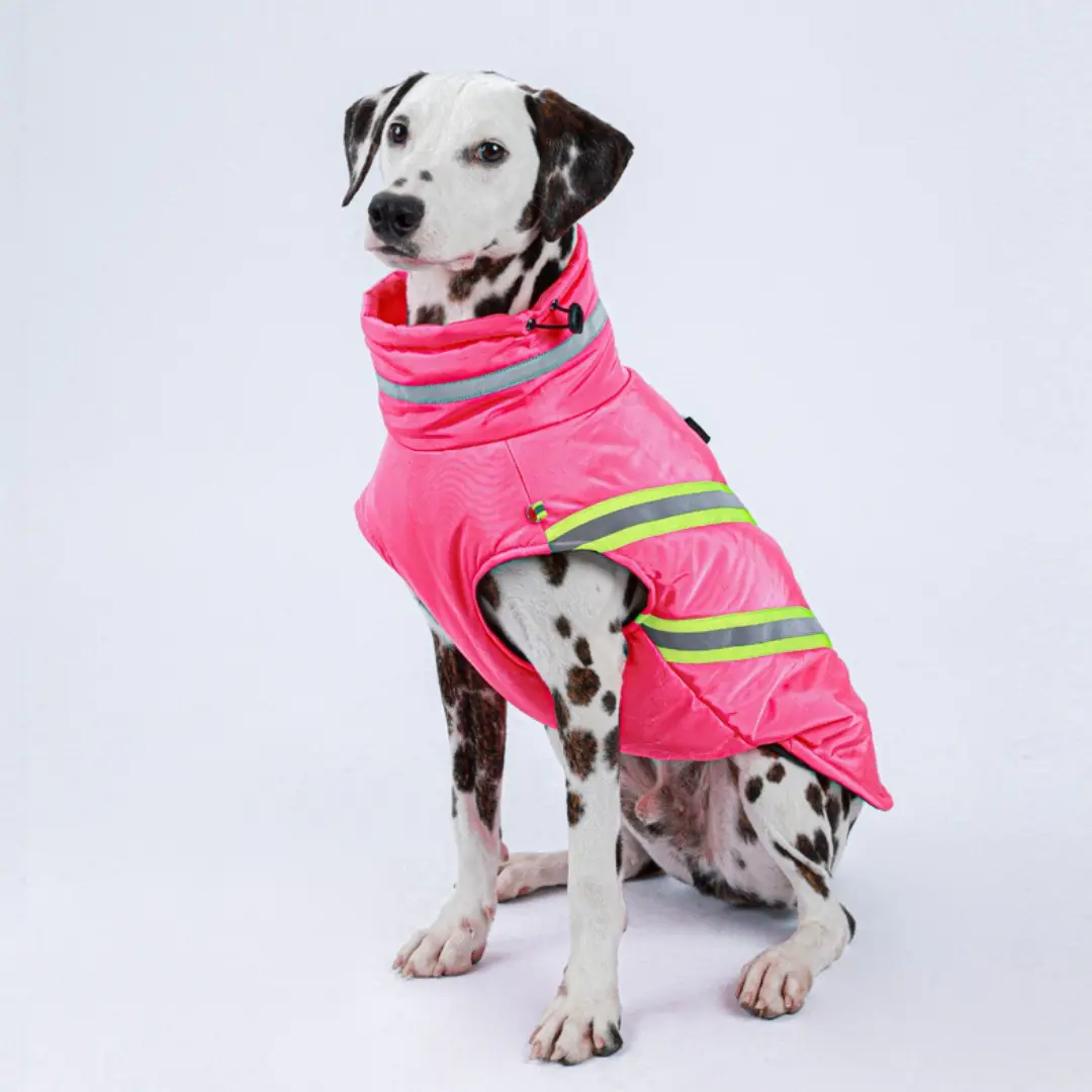 Pet Autumn And Winter Thickening Thermal Cotton-padded
