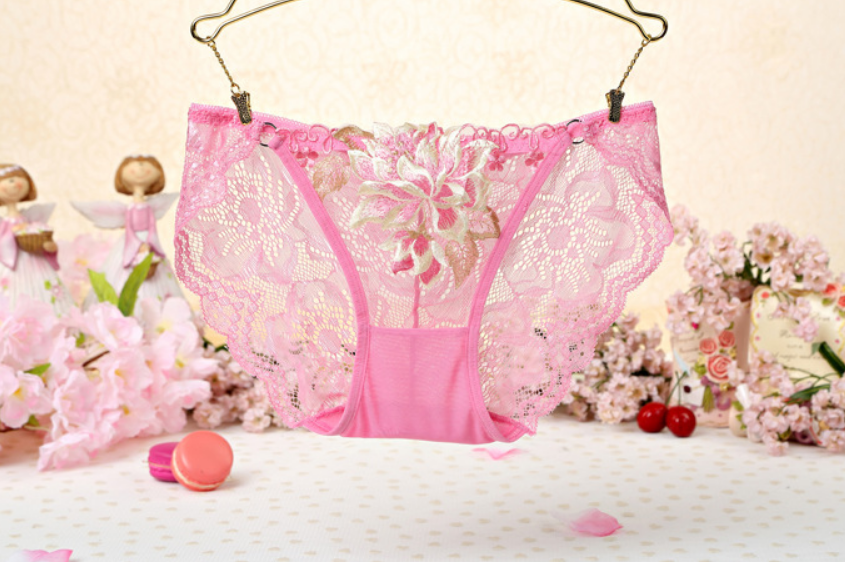 Title 6, Sexy Lace Low Waist Cute Embroidered Ladies Pan...