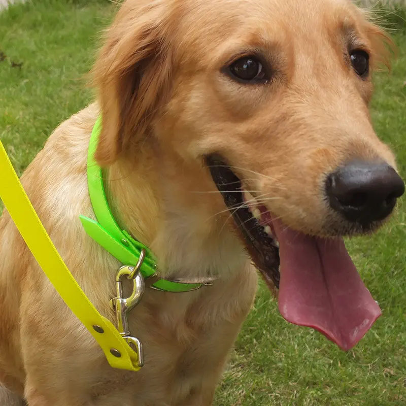 Collars Dirty-resistant Dog Pens Pets