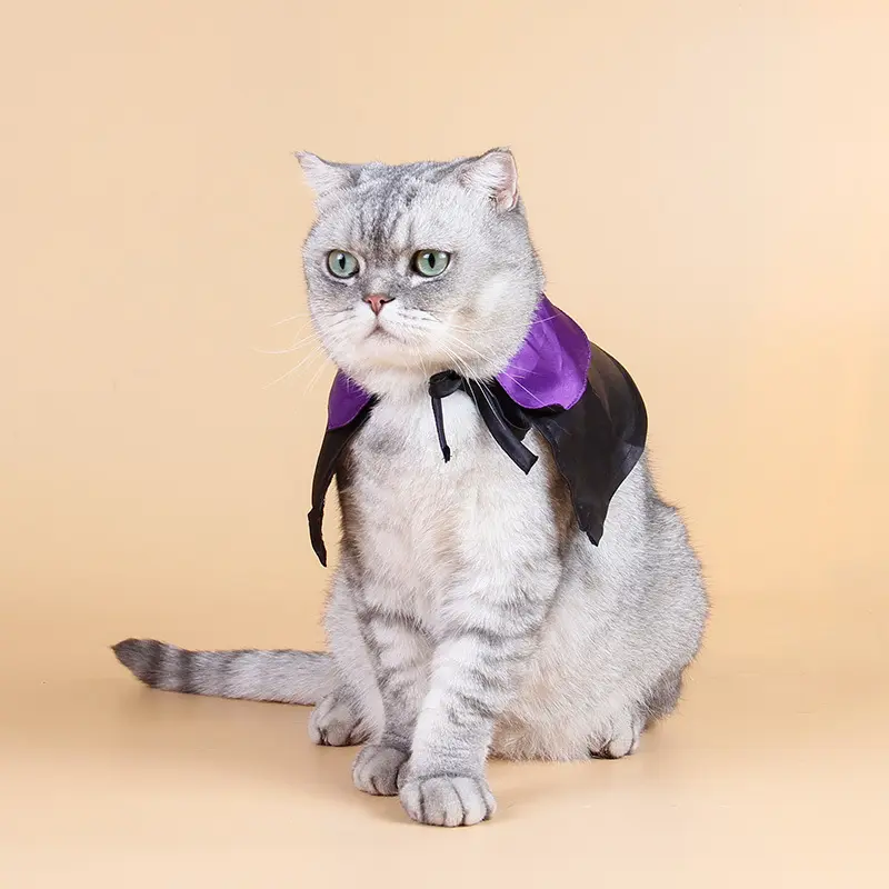 Dog Hat Dress Up Cool Cat Black