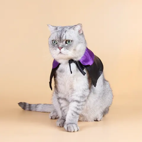 Dog Hat Dress Up Cool Cat Hat Black Purple