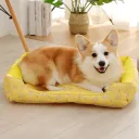 Yellow Ice Cream