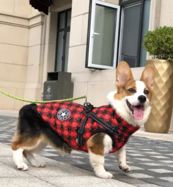 Pet Dog Clothes For Small Dogs Winter Warm Dog Hooded Coat Jackets Chihuahua Pug Outfits Puppy Cat Clothing Lattice - Shop at LoveMi