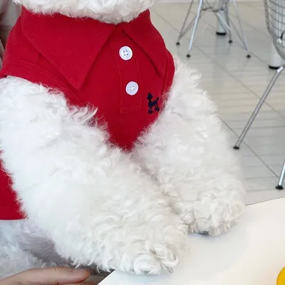 Dog Clothing Summer Vest Small Puppies Red - Shop at LoveMi