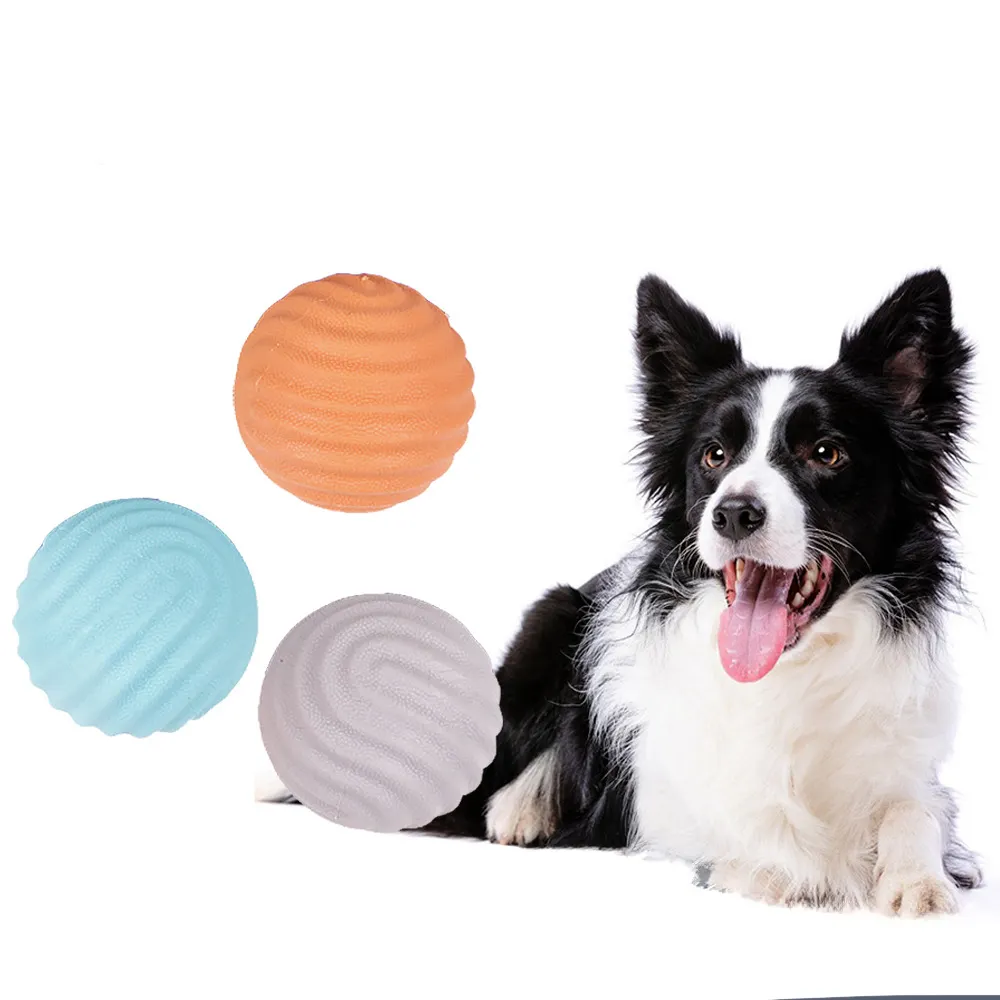 Dog Toy Bite Resistant Solid Training Ball
