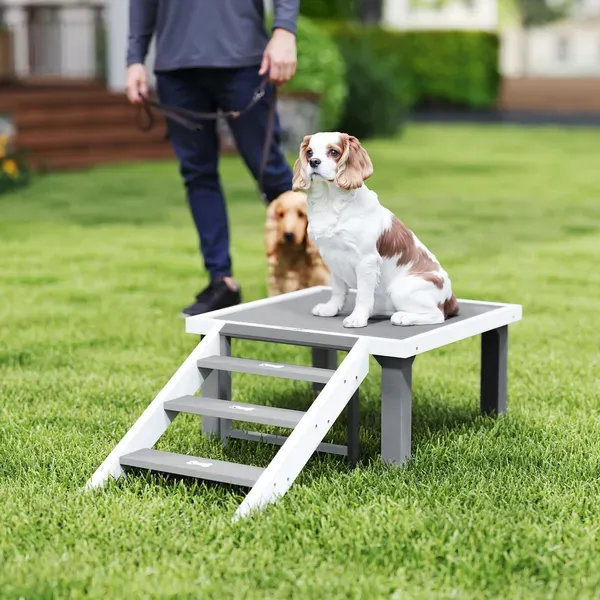 Wooden Dog Training Place Board, Dog Training Platform With Ladder, Pet Agility System For Indoor Outdoor Grey - Shop at LoveMi