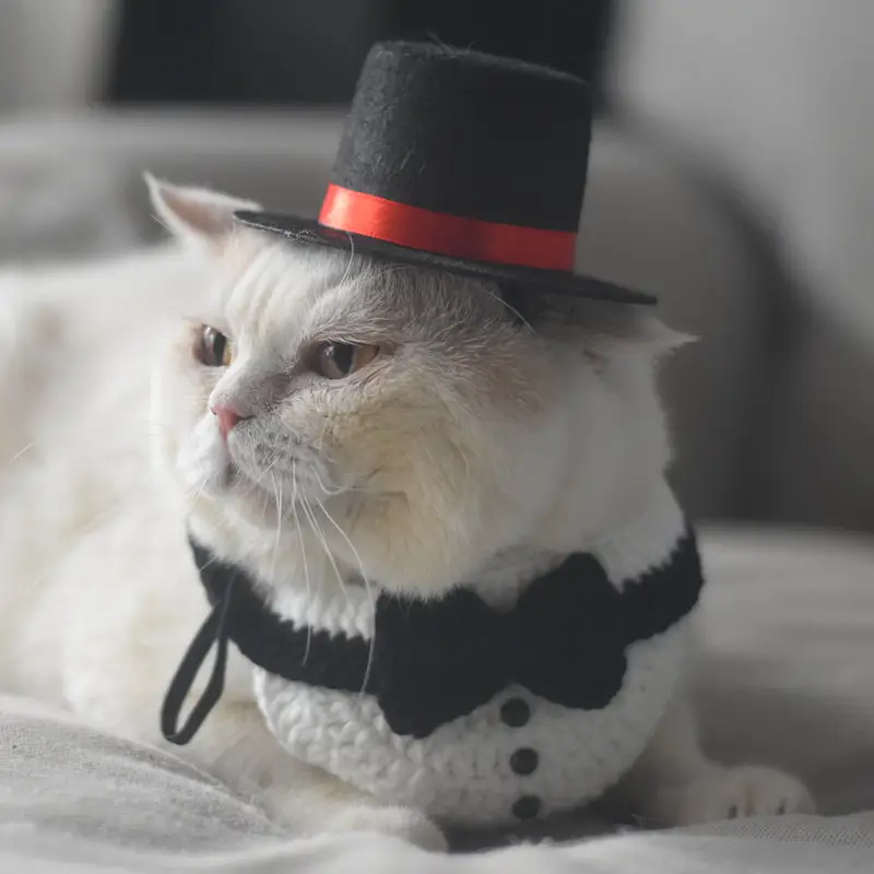 Cat Knitted Gentleman Scarf Collar Magician Hat
