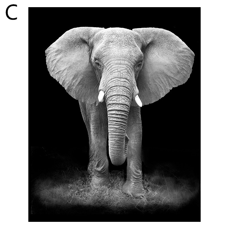 Custom Decorative Canvas Painting Core Frameless High-definition Inkjet - 3