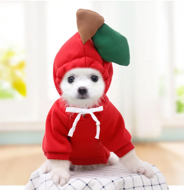 Puppy Dog Teddy Cat Plus Fleece Hooded Sweater Pet Supplies White Carrot Red Apple Sweatshirt - Shop at LoveMi
