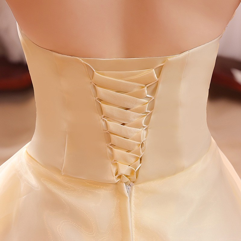 New Bustier Korean Princess Thin Wedding Dress Champagne Straps 6Xl - Shop at LoveMi