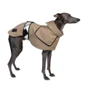 Hound