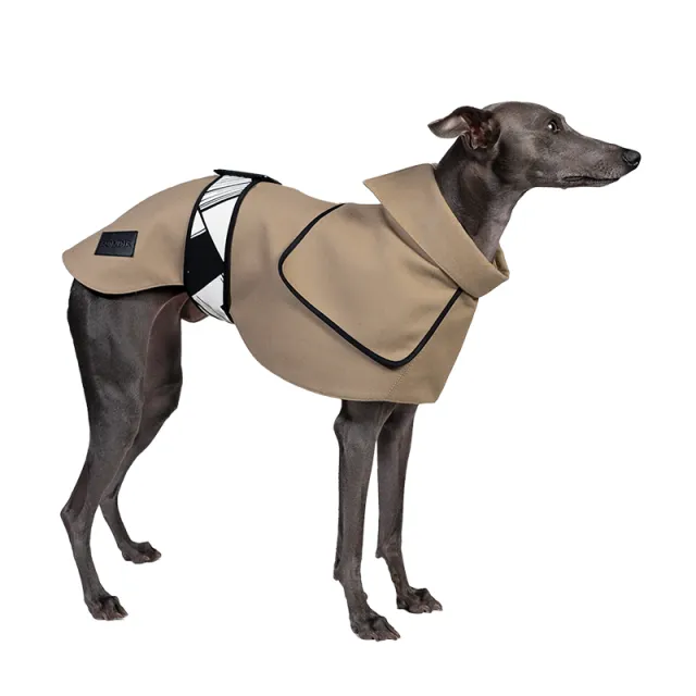 Spring And Autumn Camel Velcro Windbreaker Hound - Shop at LoveMi