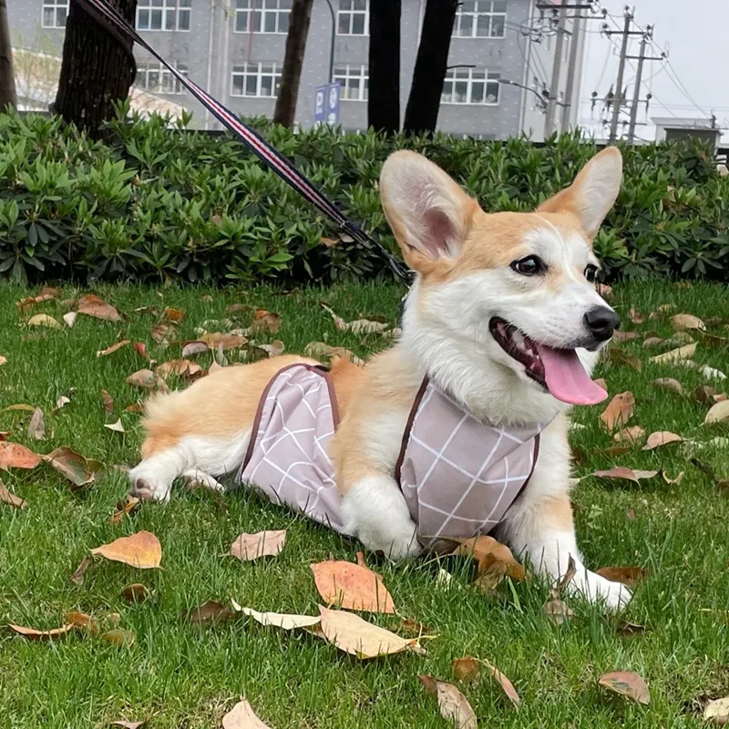 Corgi Dudou Pet Summer Dog Raincoat - Brown