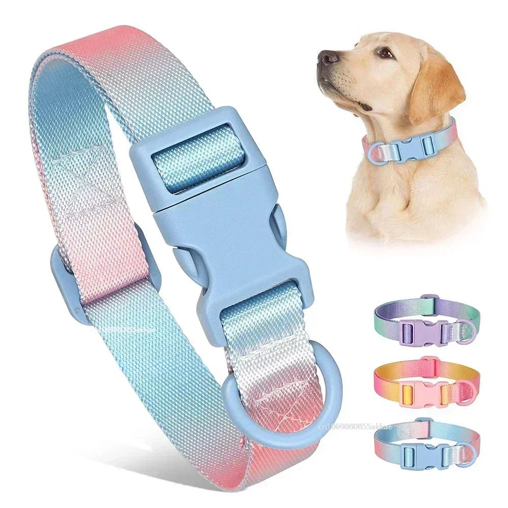 Collier réglable en Nylon pour chien et chat, accessoire dégradé pour animaux de compagnie, à la mode, pour petits, moyens et grands chiens