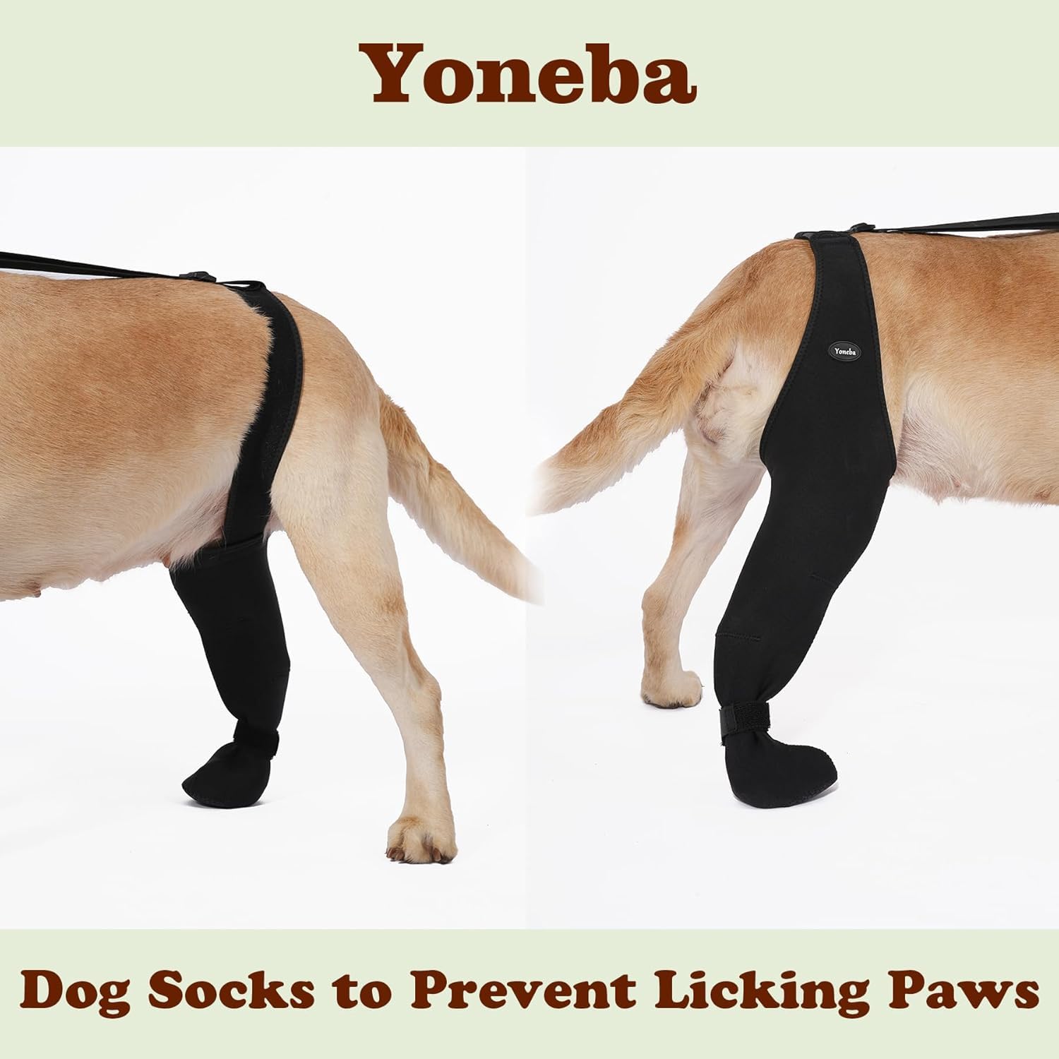 Chaussettes anti-léchage pour chien – Protège-pattes respirantes et antidérapantes
