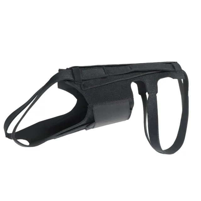 Back Brace For Dogs With IVDD, Arthritis, Back Pain, Surgical Recovery And Rehabilitation, Dachshund Back Pain Relief, IVDD Harness Black - Shop at LoveMi