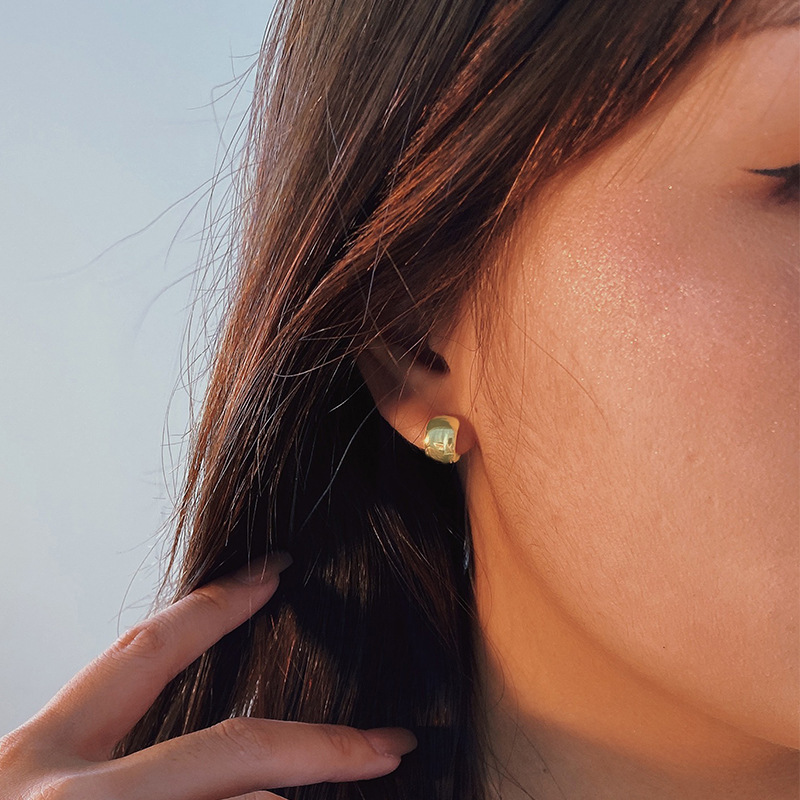 Women's Sterling Silver Earrings Retro Cold Wind  Earrings