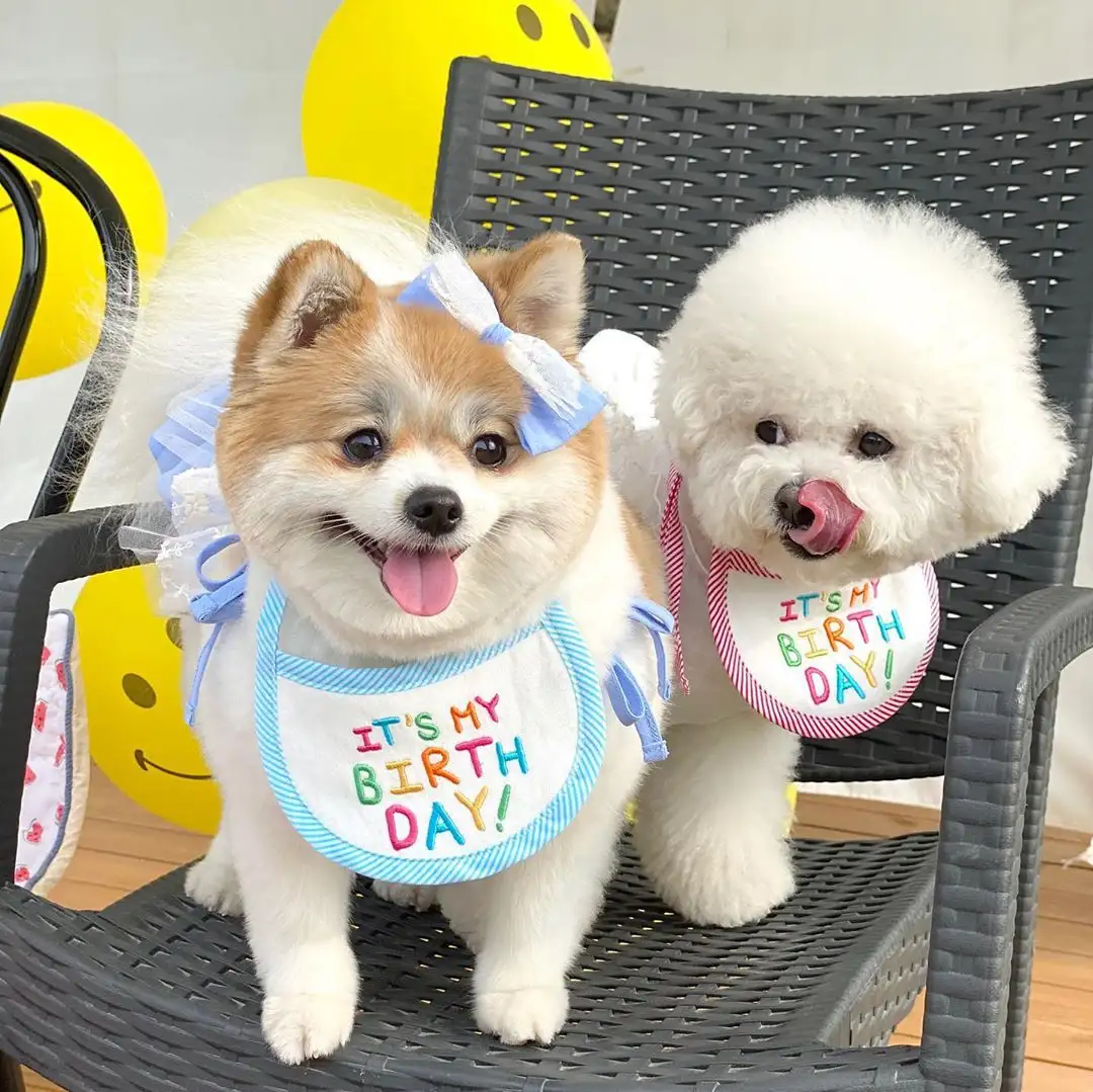 Embroidery Dog Bib Pet Cat Dog Bib Saliva Towel