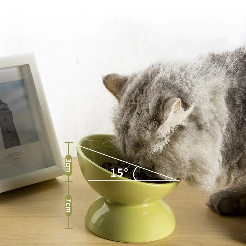Ceramic Bowl For Cats To Protect The Cervical Spine With Slanted Mouth