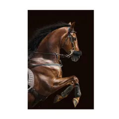 Canvas Picture Living Room Modern Home Decor Animal Poster - 2 Style - View 1