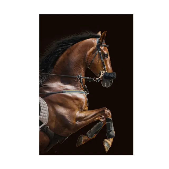 Canvas Picture Living Room Modern Home Decor Animal Poster 2 Style - Shop at LoveMi
