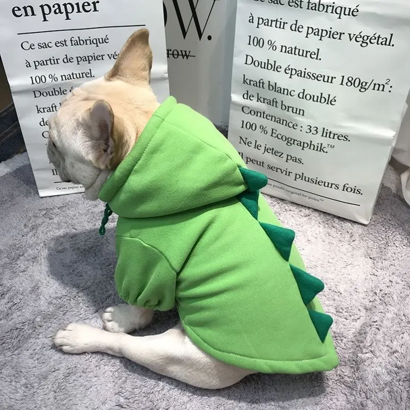Clothes Corgi Winter Special Bitch Supplies - Green