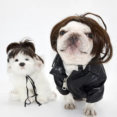Wig Pretty Pet Head