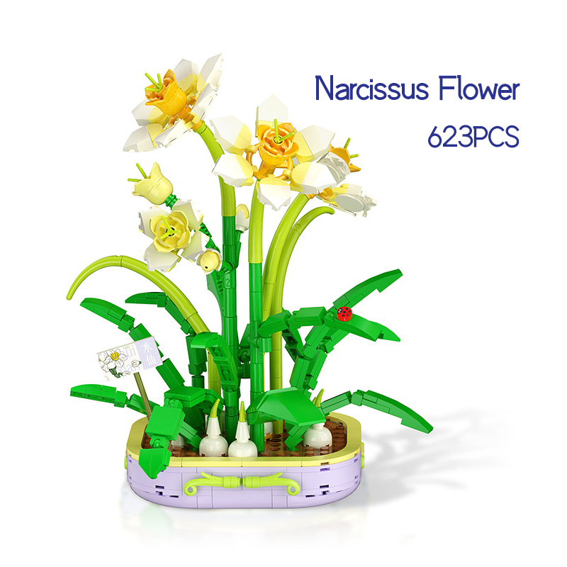 Narcissus no box