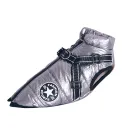 Silver Grey