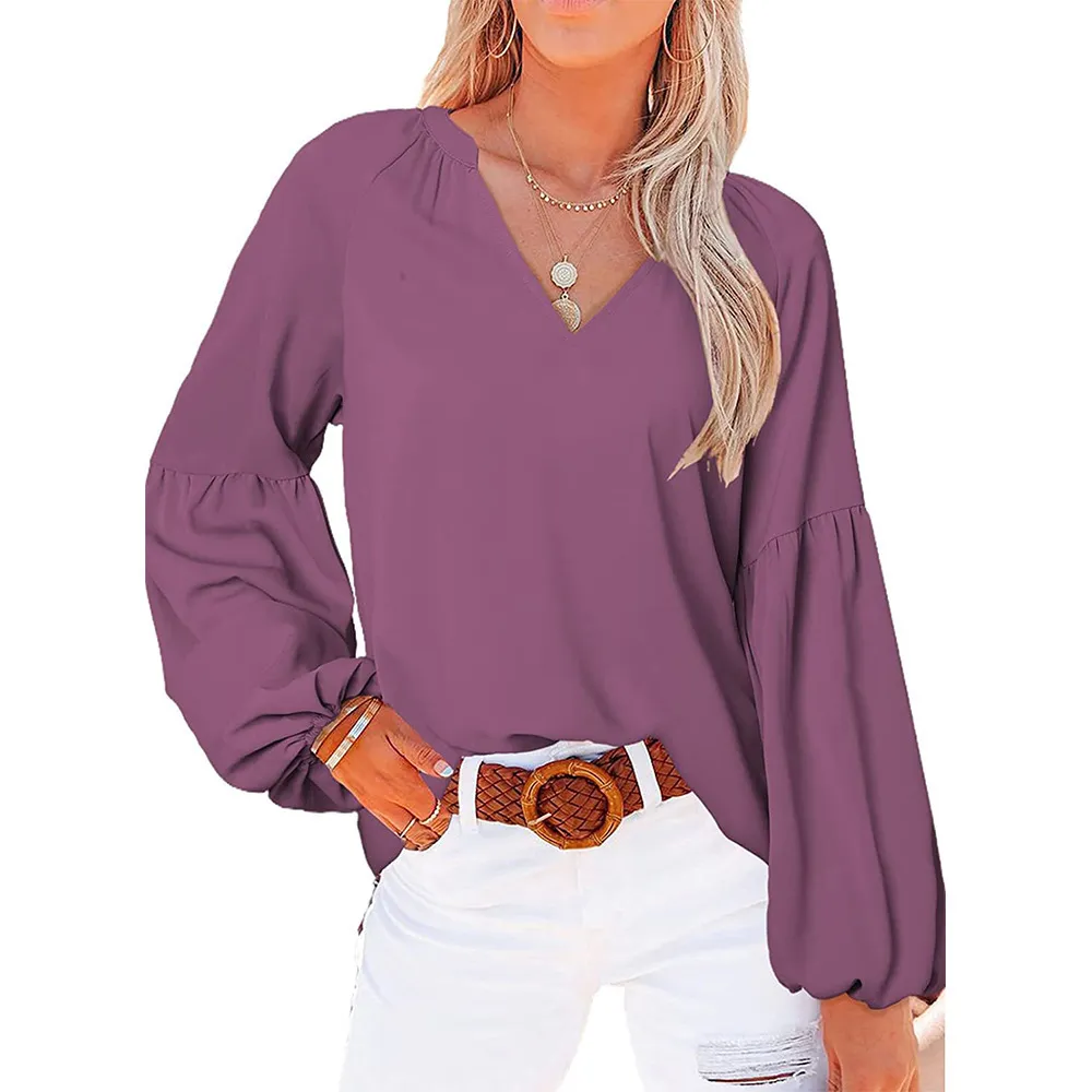 Women's Balloon Sleeve Loose Long Sleeve V-Neck T-Shirt Top - Purple