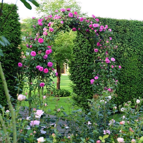 Metal Garden Arch Trellis, picture 3 of 4