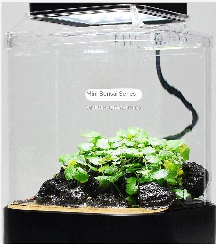 Title 4, Simple Desktop Succulent Glass Flowerpotmicro L...