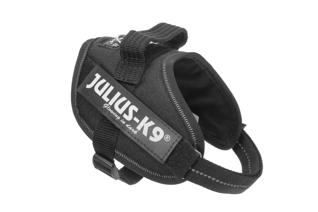 Dog Supplies Can Be Customized Towing Rope For Medium And Large Dogs - Black