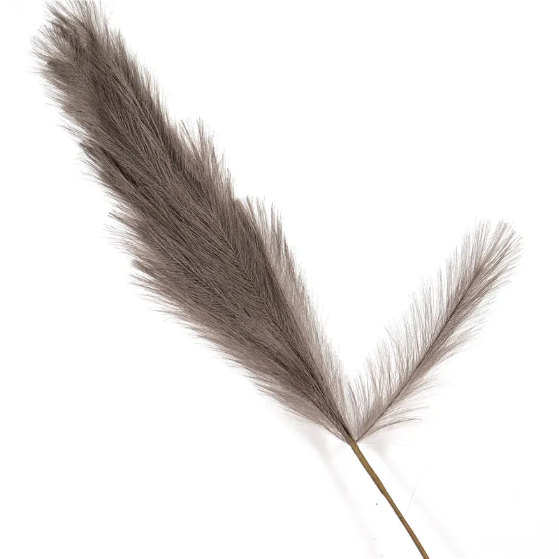 Window Decoration Long 110 Cm Pampas Natural Simulation Reed Grass Pampas – image 2