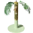 Coconut Tree