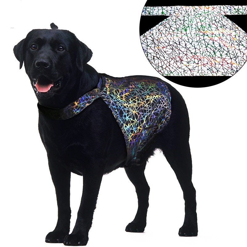 Title 1, Reflective pet clothing