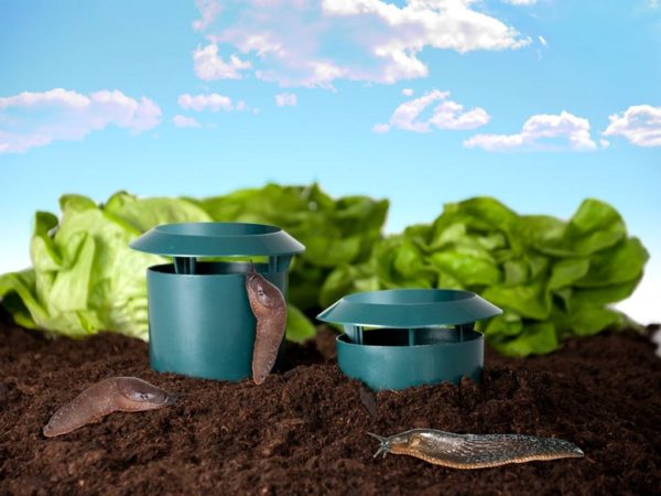 Garden Vegetable Garden Snail Trap — foto 3