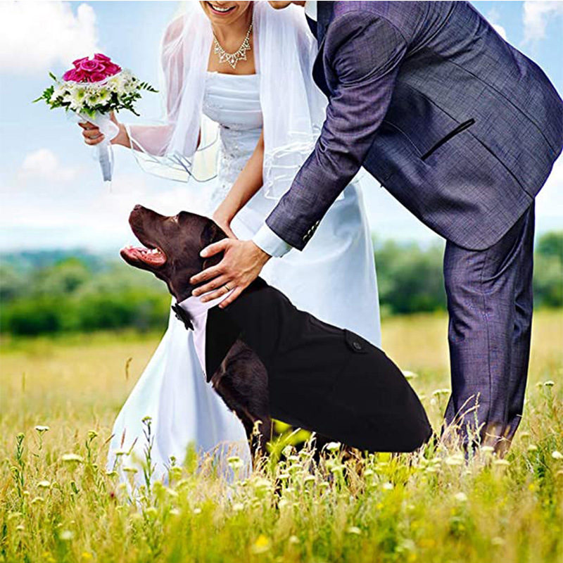 Pet Suit Dog Triangular Binder Big Dog Clothes