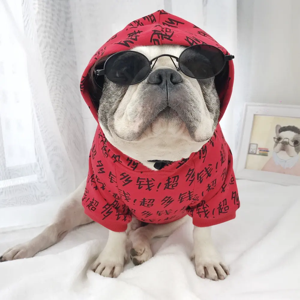 Medium and Large Dog Glasses Toy