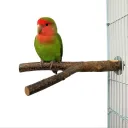 Diameter 1.52.520Cm