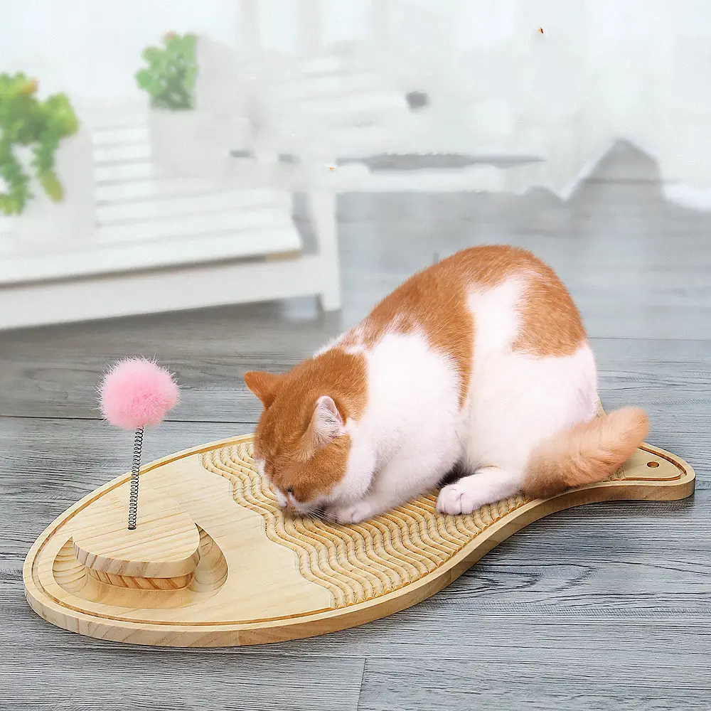 Cat Supplies to Protect Cats From Scratching and Artifacts