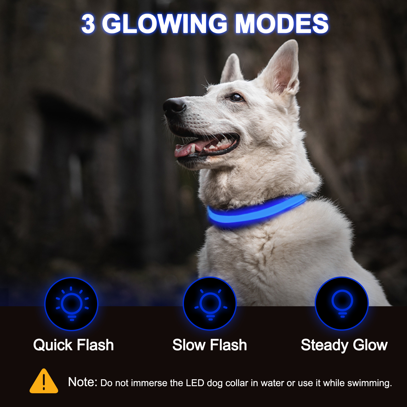 Light Up Dog Collar - Lights For The Dark Night, Adjustable Flashing — image 11