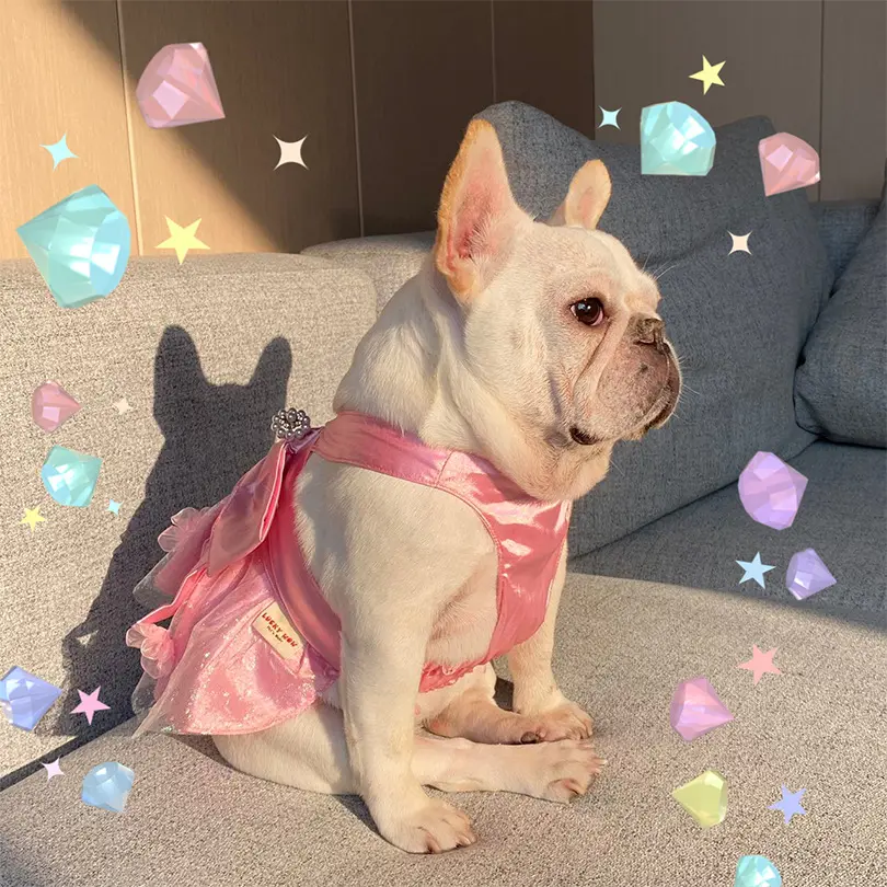 Mesh Dress Skirt Dogs And Cats Bow