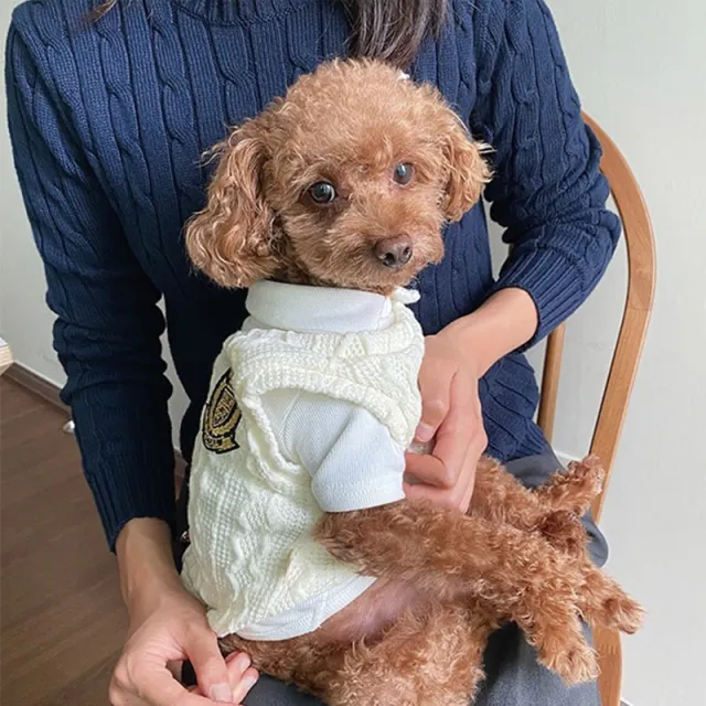 Small Dog Small Puppy Schnauzer Bichon Pet Clothes Two piece Set White - Shop at LoveMi
