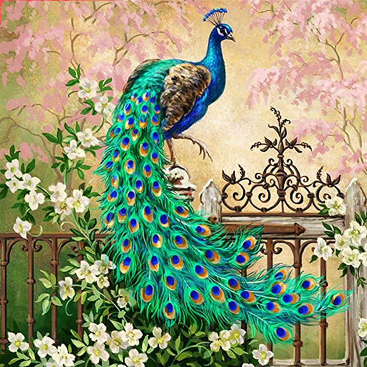 Peacock