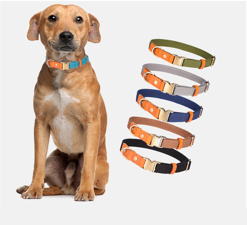 Small Pet Double Sticky Fly Bowl