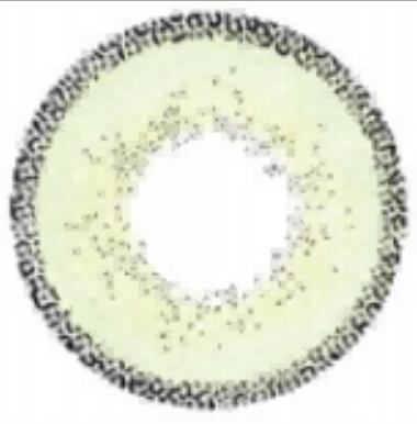 New Color Lenses For Women’s Large Contact Lenses
