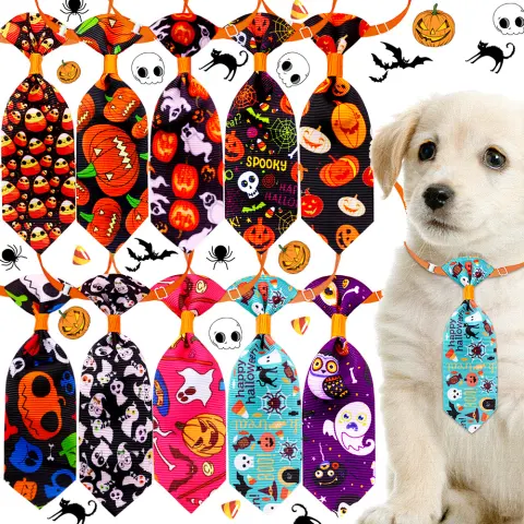The New Wonderland Pet Halloween Series of Skull