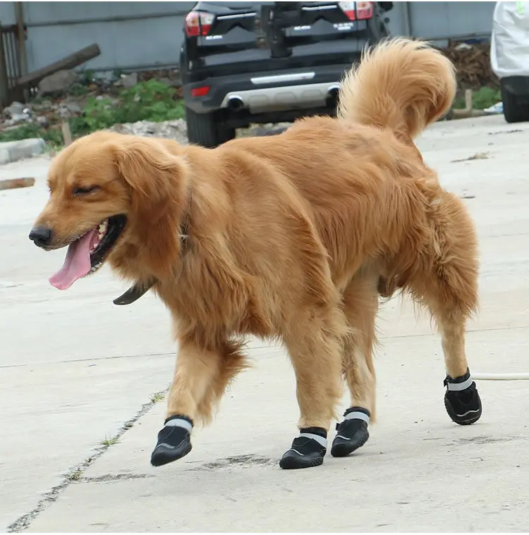 Pet Shoes Wear-resistant and Breathable Big Dog