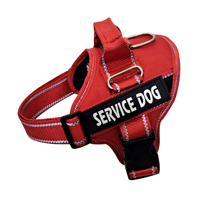 Personalized Copybook Reflective Dog Harness Red - Shop at LoveMi